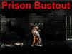 Prison Bustout 